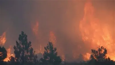 اشتعال حريق ضخم في غابات على مشارف مدينة القدس 