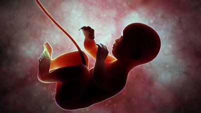 استشاري يكشف طرق الوقاية من حدوث تشوهات الأجنة (فيديو)  