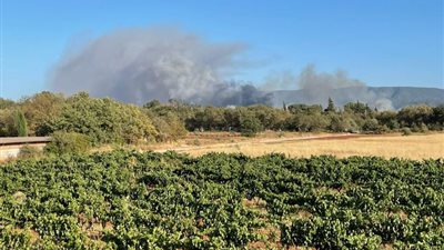 الرياح تعرقل جهود إخماد حريق غابات ضخم في فرنسا