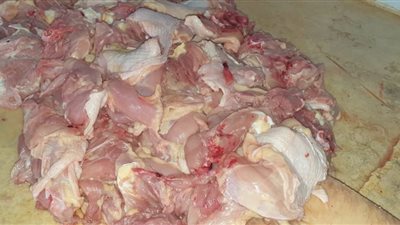 ضبط 2 طن ونصف من اللحوم والدواجن الفاسدة بالإسكندرية  (صور)