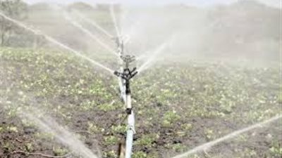 فوائد وخطة وزارتي الري والزراعة للتحول من الري بالغمر إلى الحديث 