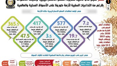 بالإنفوجراف.. مصر تنجح في تأمين مخزون السلع الاستراتيجية وضبط الأسواق