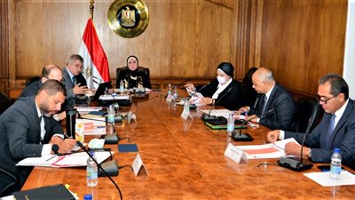     وزيرة التجارة: جارى الانتهاء من إعادة هيكلة المركز تحديث الصناعة 