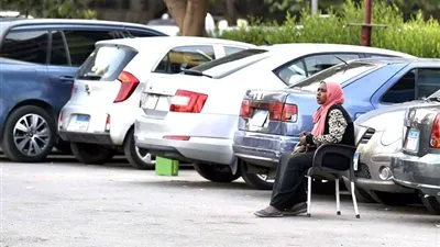 يضع حدًا للبلطجة والإتاوة.. برلمانية تكشف تفاصيل قانون السايس الجديد