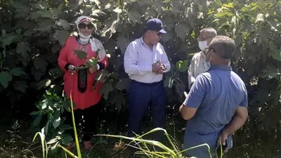 وبروتوكول عمل بين زراعة الفيوم وبنك الجينات