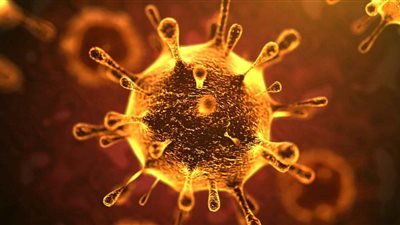 عضو لجنة مكافحة كورونا يكشف تفاصيل عقار الأجسام المضادة الجديد 