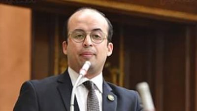 برلماني: الدولة حريصة على حفظ كرامة المصريين في الداخل والخارج