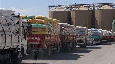 في قضية فساد القمح.. السجن 10 سنوات لأمين ومالك شونة ببني سويف