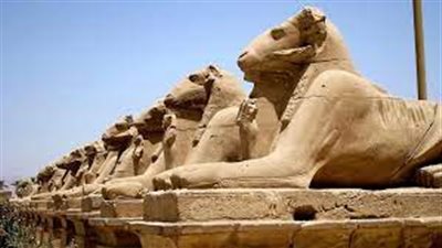 مدير معبد الكرنك: افتتاح طريق الكباش سيكون أكبر من موكب المومياوات (فيديو)