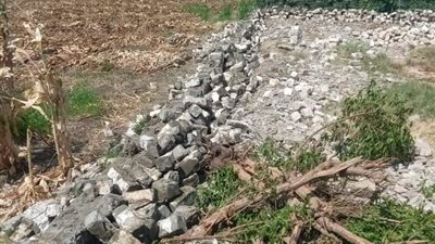 إزالة 16 حالة تعد على الأراضي الزراعية بالفيوم