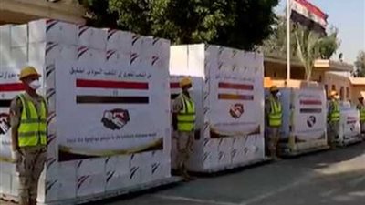 آخرها أزمة الفيضانات.. كيف دعمت مصر السودان في أوقات الشدة؟