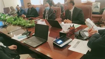 نائب وزير الصحة: بورسعيد تحتل المركز الأول في تشغيل المرأة