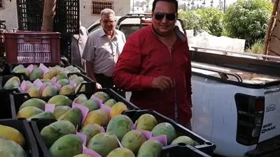 مدير زراعة دمياط لـ 