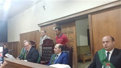 الحكم بإعدام قاتل الطفلة جنى في الدقهلية 