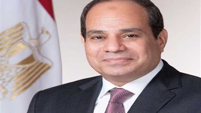 السيسي يعود إلى أرض الوطن بعد مشاركته في مؤتمر بغداد للتعاون والشراكة