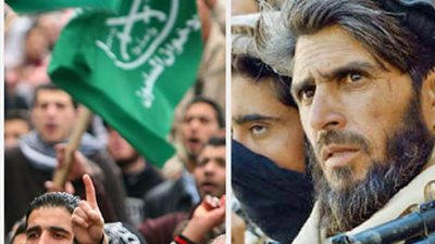 خبيرة علاقات دولية: 