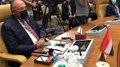 وزير الخارجية يؤكد على ثوابت مصر تجاه القضية الليبية