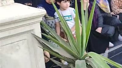 الحزن يخيم على أسرة طفل المحلة المختطف (صور)