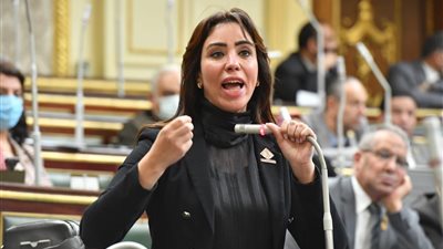 برلمانية: حالة خطف طفل المحلة تعتبر فردية لا تعبر عن الواقع العام