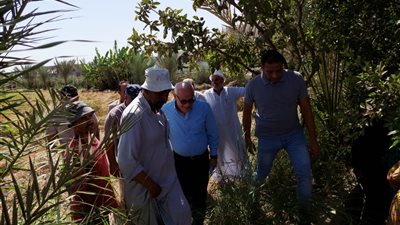 محافظ بورسعيد يتفقد موسم حصاد الأرز بأحد الحقول الزراعية 