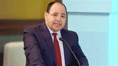 وزير المالية: الإصلاح الاقتصادي جعل مصر أكثر قدرة على تخطى الـ
