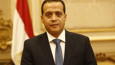 برلماني: إنهاء الاحتلال هو الحل الجذري للقضية الفلسطينية