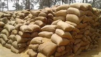 الأهالي ينجحون في القبض على عصابة سرقة الغلال بسوهاج