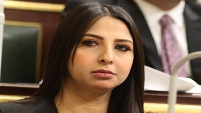 برلمانية: إنشاء وحدة مجمعة لحماية المرأة من العنف قرار رائع 