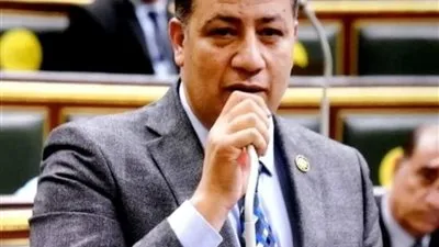 برلماني: الرئيس السيسي يعمل على تفعيل مبادرات الخير منذ توليه الحكم