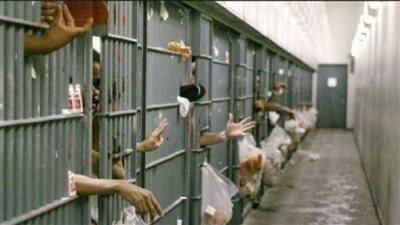 بطريقة لا تخطر على البال.. هروب 6 أسرى فلسطينيين من سجن جلبوع  