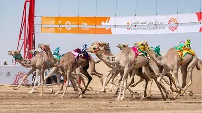 أرضية ميدان الطائف للهجن .. أعلى المعايير العالمية مواكبةً لمهرجان ولي العهد