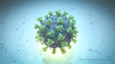  عاجل.. إجمالي إصابات كورونا في الهند يرتفع لـ33 مليونًا