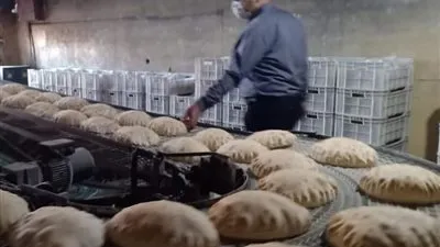 تحرير 39 مخالفة تموينية في بيلا بكفر الشيخ 