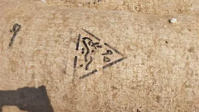 وكيل زراعة الفيوم يتابع حلقات توريد القطن