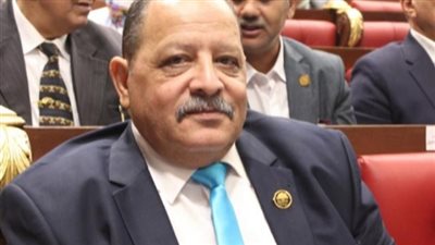 برلماني: تطوير ميناء الإسكندرية حدث تاريخي