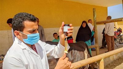 توقيع الكشف الطبي على 421 حالة بقافلة جامعة المنيا