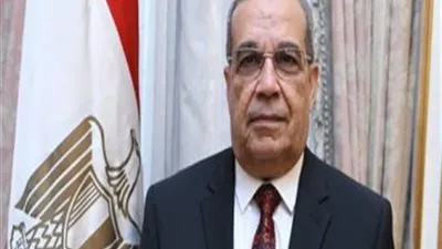 وزير الإنتاج الحربي يكشف تفاصيل مشروع تحويل المخلفات إلى طاقة كهربائية (فيديو)