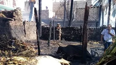 نفوق 44 رأس ماشية في حريق منزل بالمنيا (صور)