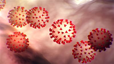 مستشار الرئيس للصحة: كورونا في الموجة الرابعة بالحجم العائلي 