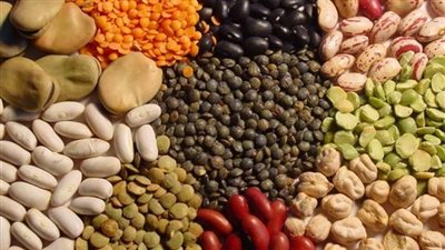 أسعار البقوليات اليوم الاثنين في الدقهلية