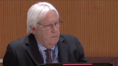 الأمم المتحدة: تلقينا ضمانات من 