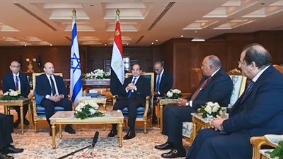 شاهد.. تصريح هام لـ السيسي عن السد الإثيوبي بحضور رئيس وزراء إسرائيل