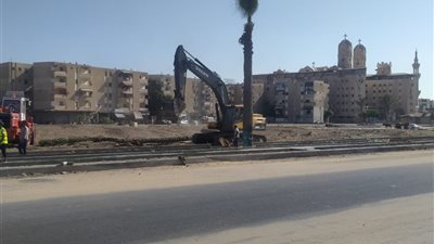 أعمال تطوير ورفع كفاءة وزراعة النخيل في شارع محمد سرحان ببورسعيد