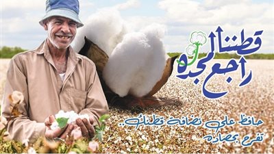 فتح بعض مراكز تجميع الأقطان بوجه بحري وأول مزاد الخميس المقبل