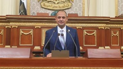 برلماني: الشهادات الدولية في حق مصر تؤكد السير على الطريق الصحيح 
