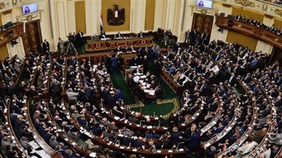 نائبات: إطلاق تقرير التنمية البشرية خطوة تاريخية يضعنا في مصاف الدول الكبرى