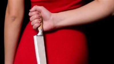 بعد مقتل زوج بالهرم على يد زوجته.. تعرف على أبرز حالات قتل السيدات لأزواجهن