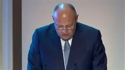 تصريحات جديدة من وزير الخارجية بشأن سد النهضة بعد بيان مجلس الأمن