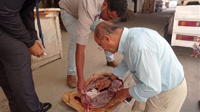 11 طن كبدة فاسدة.. حملات على ثلاجات اللحوم بالإسكندرية (صور)