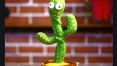 خبيرة تربية تكشف تأثير الصبارة الراقصة على صحة الطفل (فيديو)